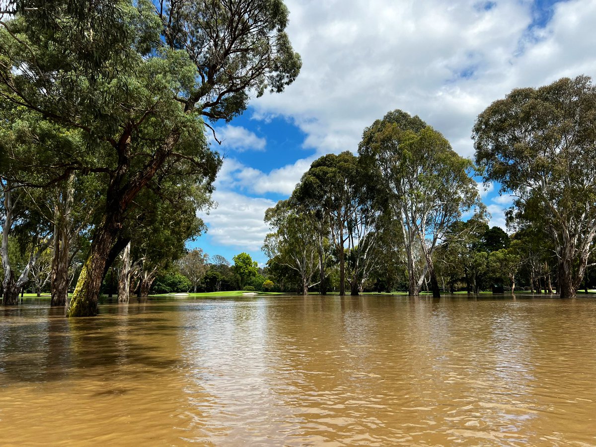 RThompsonTurf's tweet image. Latrobe Golf Club has turned in the Latrobe Rowing Club today with the Yarra River breaking its banks early this morning. Plenty of work ahead once the water decides to recede