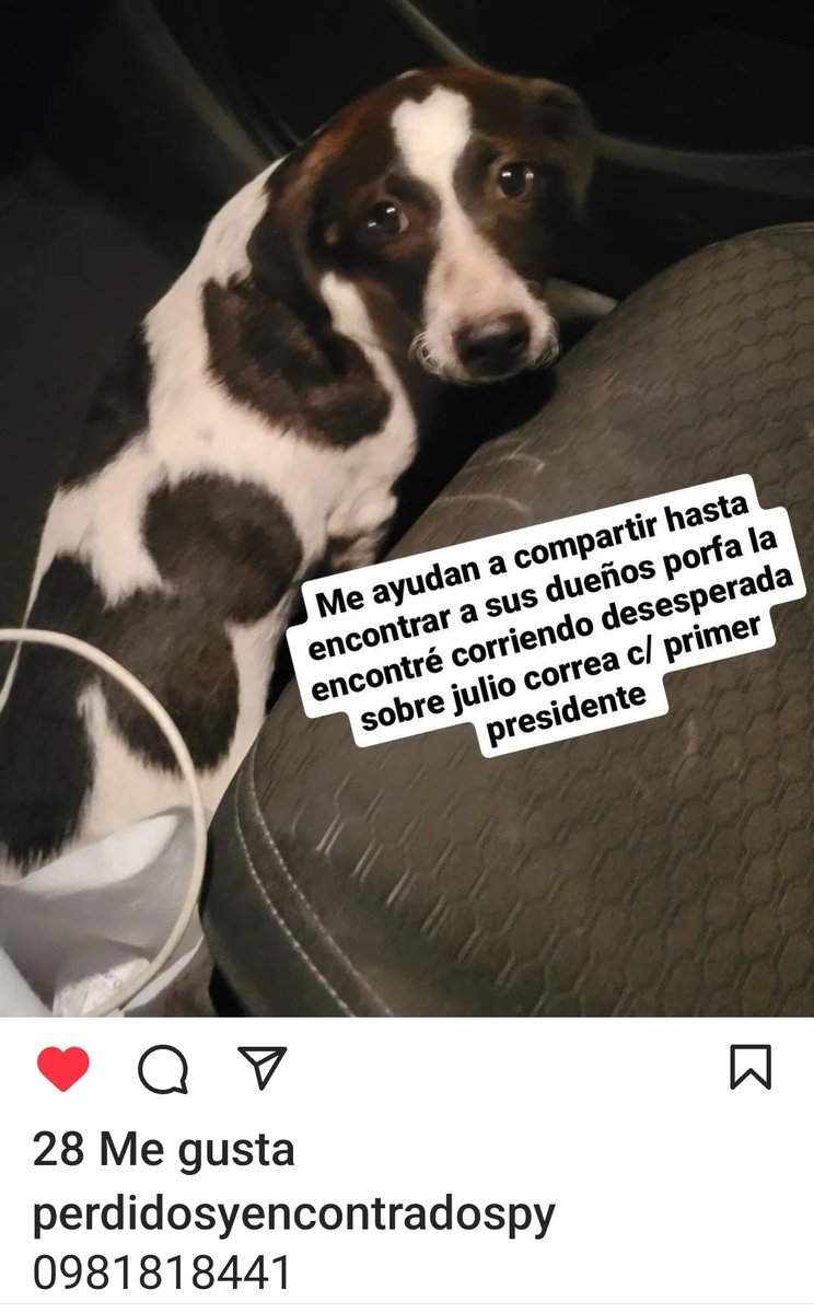 mariannojeda's tweet photo. Atención zona Julio Correa y Primer Presidente.  Por favor RT hasta encontrar a su Familia https://t.co/BDHzqw3Sca