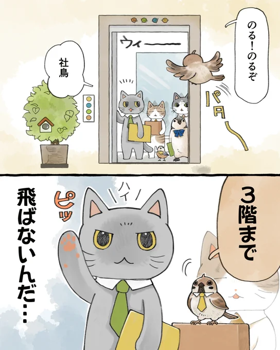 何ということでしょう～～
猫田くんの肉球を忘れていました～～
肉球ないとエレベーターのボタン押せない～～💦 