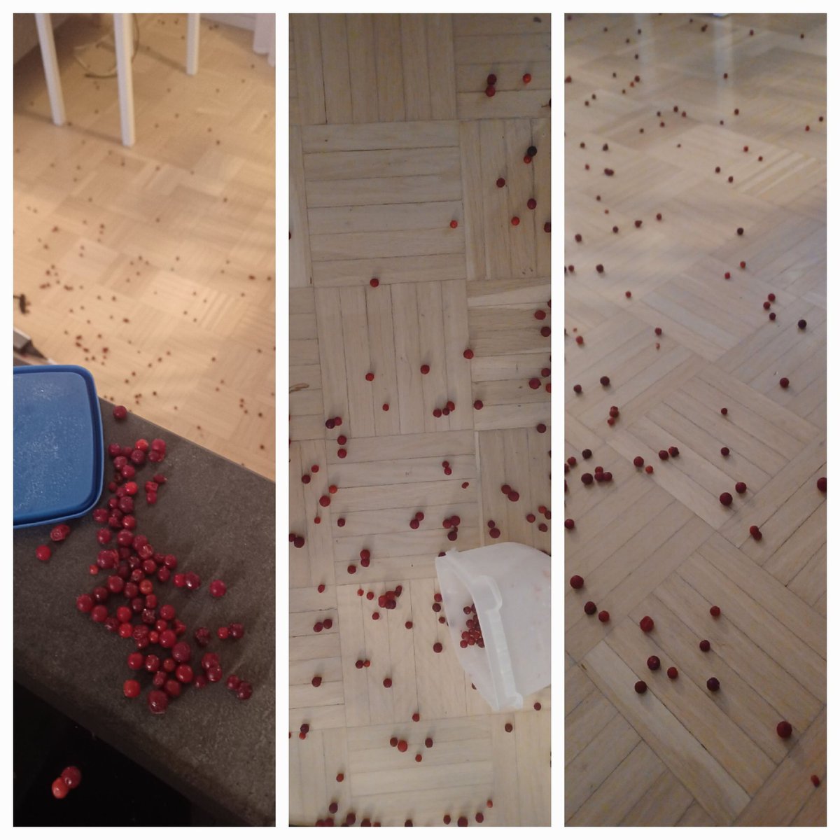 Mites sun päivä alkoi ?