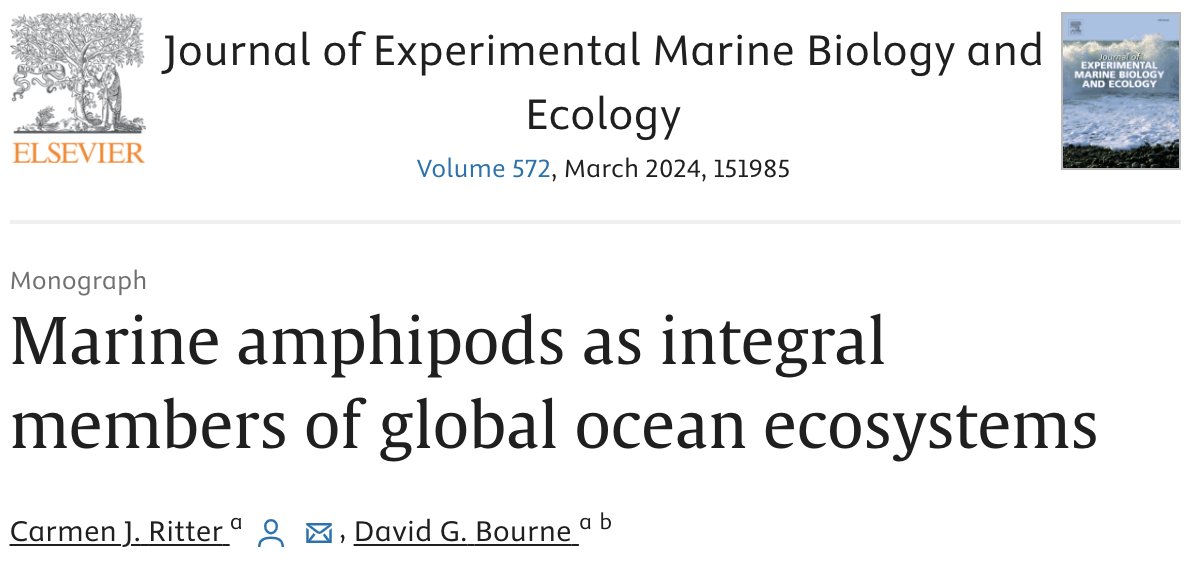 ocean_CRitter's tweet photo. I can't just choose one amphipod of the month (for now at least), because I just published this paper that emphasizes how they are ALL so important to our global oceans, and we need to take stock of our crusty comrades before we start losing them. Enjoy!

https://t.co/KufX0CnPJV https://t.co/p2YmVmMERy