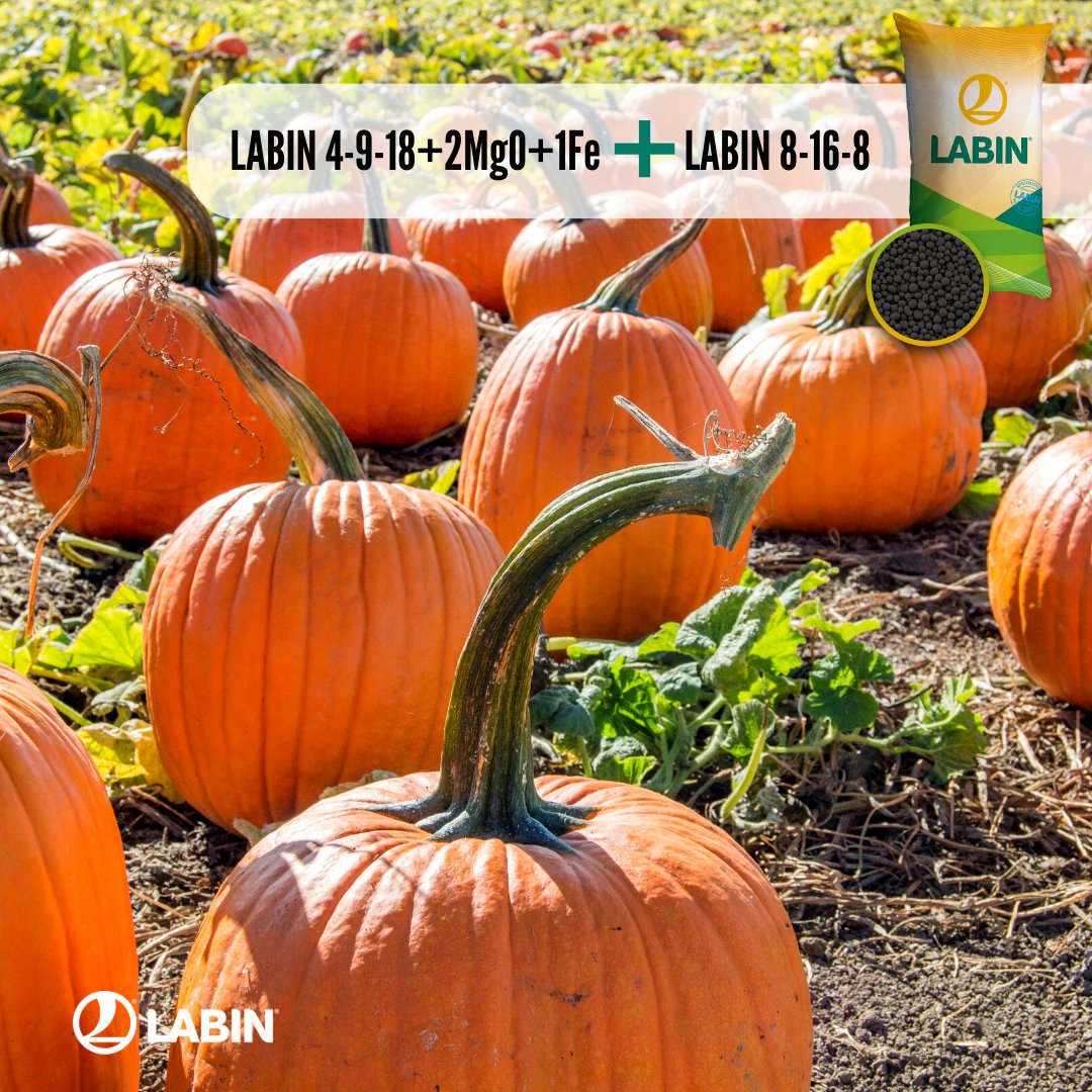 Distintas formulaciones granuladas NPK para un mismo fin 👉 TU CULTIVO 🌱

#labin #solucioneslabin #Murcia #Sevilla #Valladolid