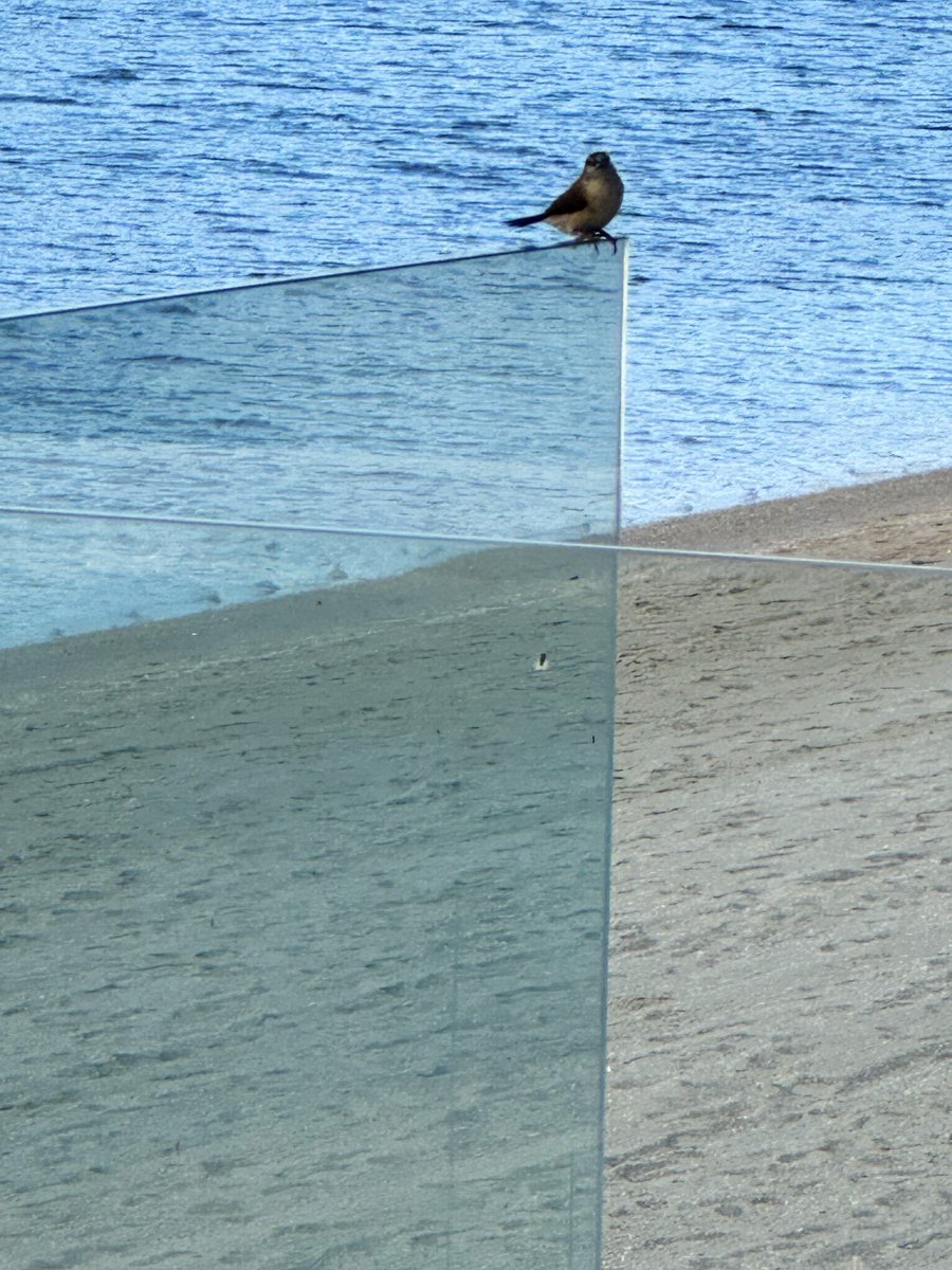 احببت هذه اللوحة الفنيّة التجريدية الطبيعية♥️

بعدستي
🌟