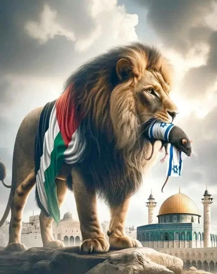 <a href="/MOSSADil/">Mossad Commentary</a> Filistin toprakları  🇵🇸 Halkının dır .
#filistinbenimdavam ALLAH'IN   Mücahitlerin ordusu #Gaza 
  #EbuUbeyde 🇵🇸 💪
#Israel Teröristleri Ağlıyor 🔥
🇵🇸🇵🇸🇵🇸 Çok yaşa  🇵🇸🇵🇸🇵🇸
 #GazaGenocide