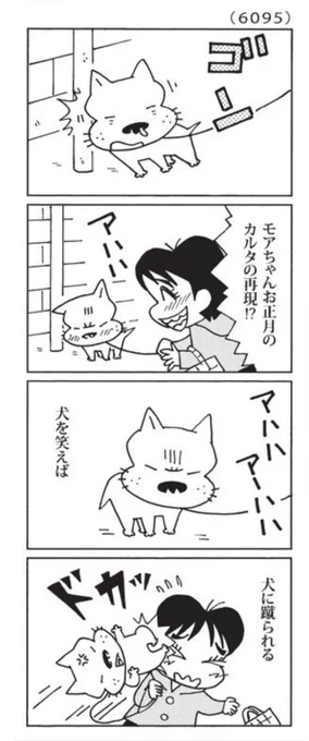 最近の「ウチの場合は」

お正月気分はここまで。

@mainichi 
#毎日新聞夕刊 