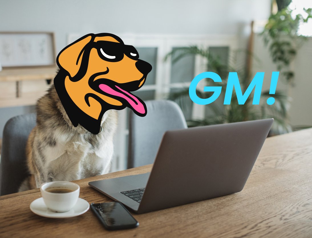 GM Web3 Dogs! We say $WOOF 🐕