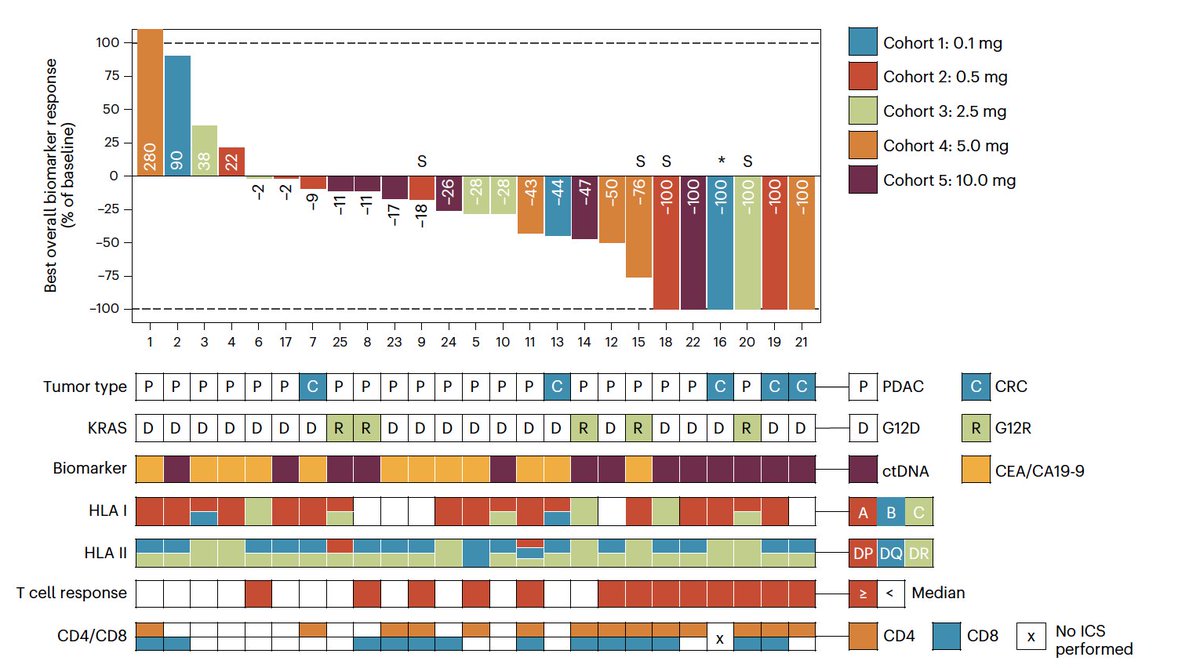 Lymph-node-targeted, mKRAS-specific vaccine in #PDAC & #CRC cancer @NatureMedicine doi.org/10.1038/s41591… 🔎 Phs 1 AMPLIFY-201, G12D & G12R KRAS mutations 👉84% tumor marker response, 24% biomarker clearance, mRFS was 16.33mo 😅Strong T-cell responses, amazing...the future?…