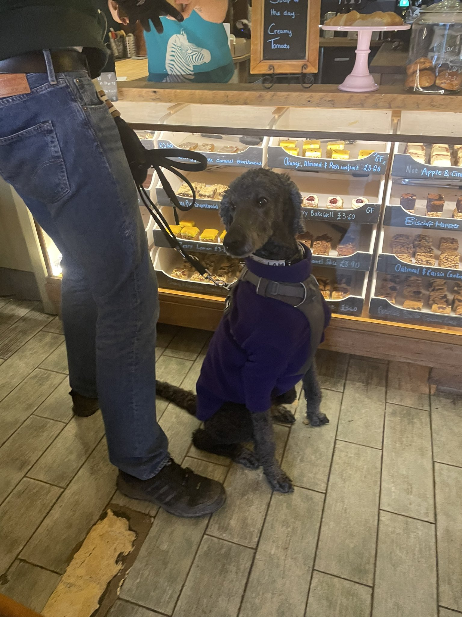 Duo 2025 dog training