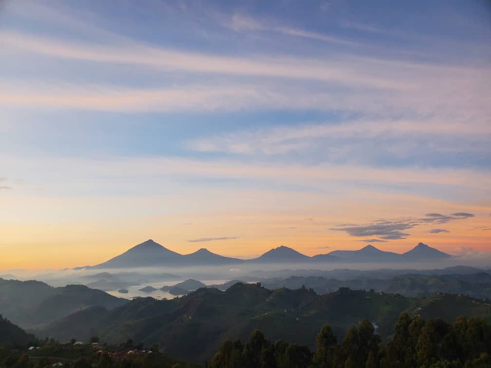 brendah_ape's tweet photo. Rushaga sector which is home of Mt.Gorillas has some new accommodation that's opening soon... 

It  has very beautiful views of the virunga massifs,Lake Mutanda,Lake Mulehe and on the other end,part of the impenetrable forest.

📍Canyon Lodge Bwindi,Rushaga Sector. https://t.co/hYSXY5Wtqg