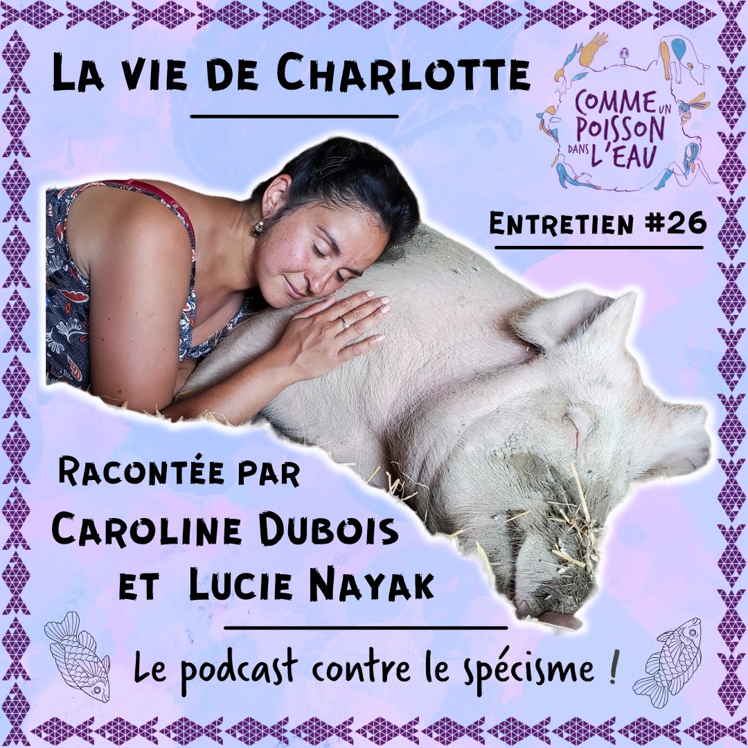 Comme un poisson dans LE CIEL BLEU (BlueSky) tweet media