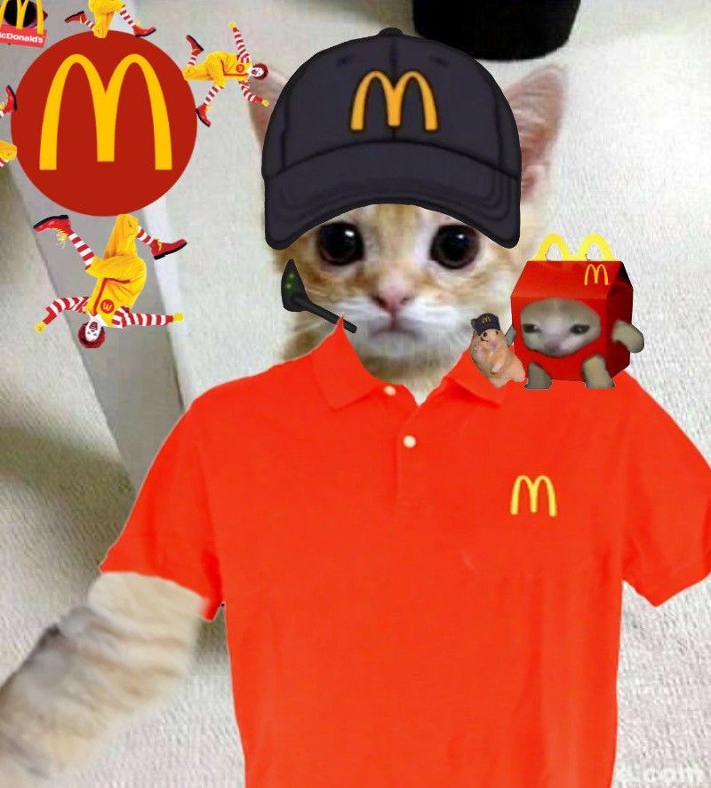 CatwifMcdonaldhat $McCAT Solana tweet media