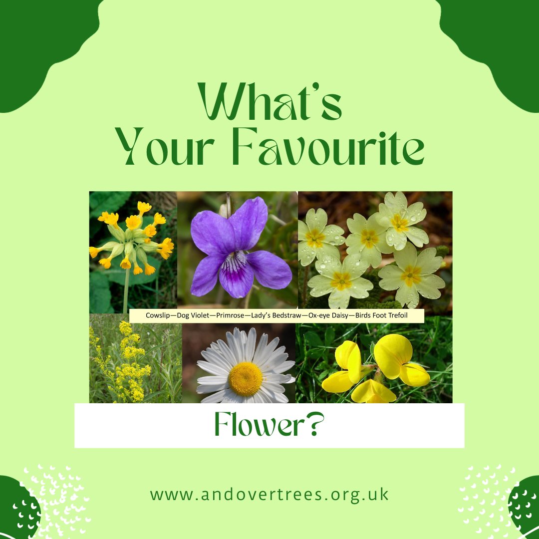 Andover_Trees's tweet image. WHAT'S YOUR FAVOURITE FLOWER?
#LowlandChalkMeadow wildflowers are #declining in the UK. Did you know that the Diamond Woods has #calcareousgrassland and is home to many of these endangered species? Take the poll and have your say! forms.gle/163pVAmsrFuz3x…