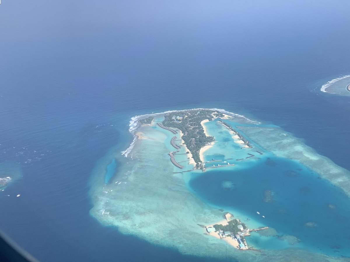 NoorSitara's tweet photo. Maldives ЁЯЗ▓ЁЯЗ╗ has the prettiest beaches and the clearest blue waters with stunning marine life and out of this world coral reef. There is no competition whatsoever! Maybe French Polynesia is close but none in entire Asia. #Maldeves https://t.co/RvzqkVTmsW