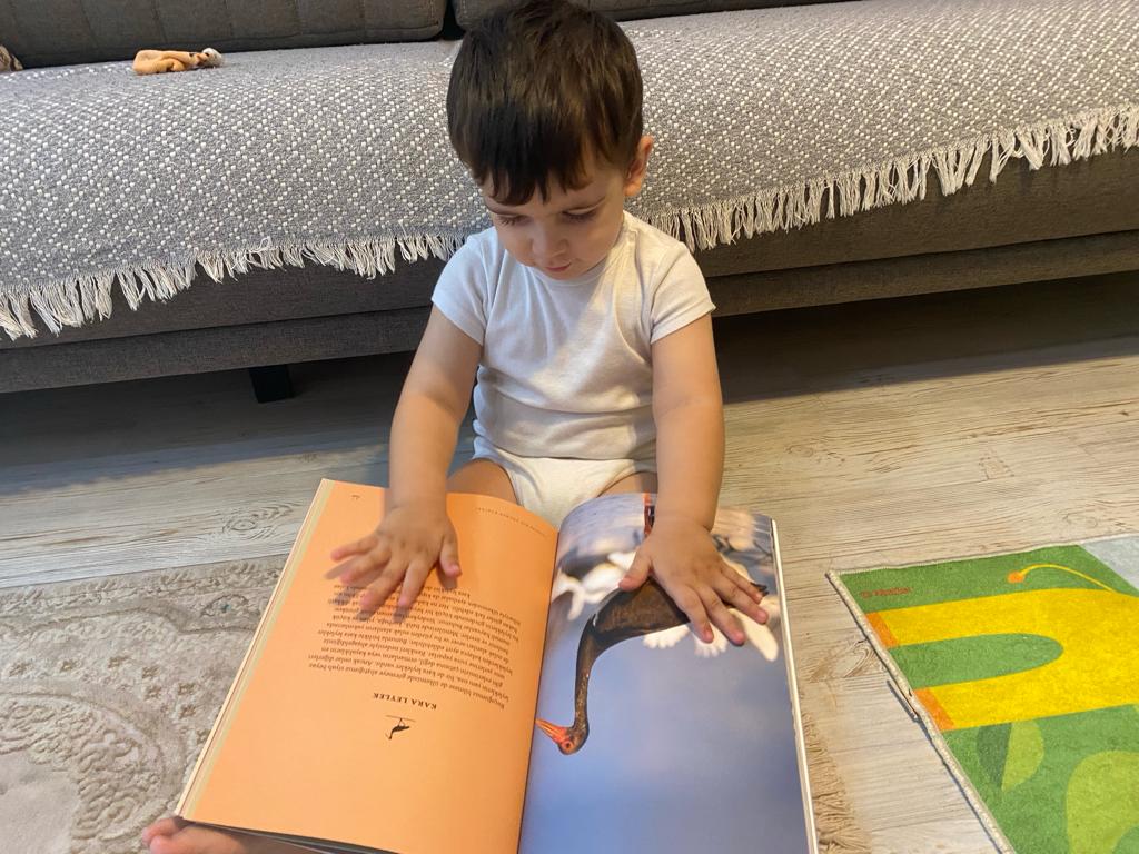 mozer_ilkay's tweet photo. @alpertuydes Bütün kuşları tanıyor:) https://t.co/4vi852Iza4