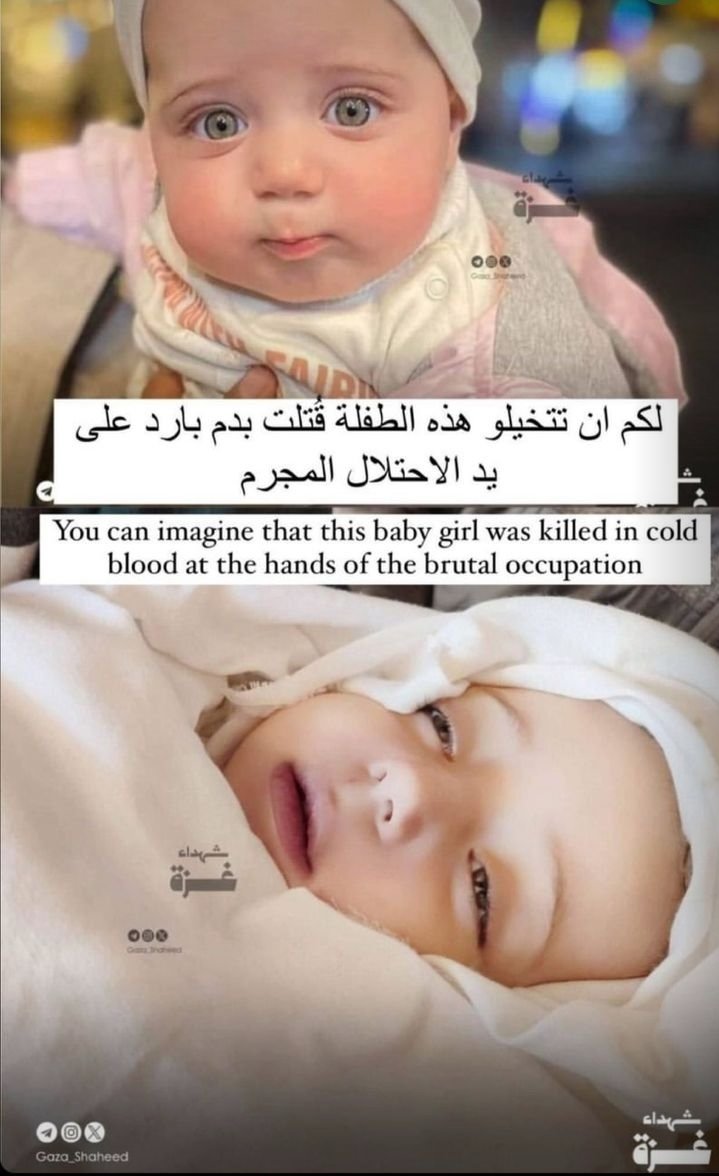 nono_nour_7's tweet photo. We will Never forget .💔
We will NEVER stop sharing

ᖴᖇᗴᗴ ᑭᗩᒪᗴSTIᑎᗴ !!🇵🇸 https://t.co/NwEEkcDVEP
