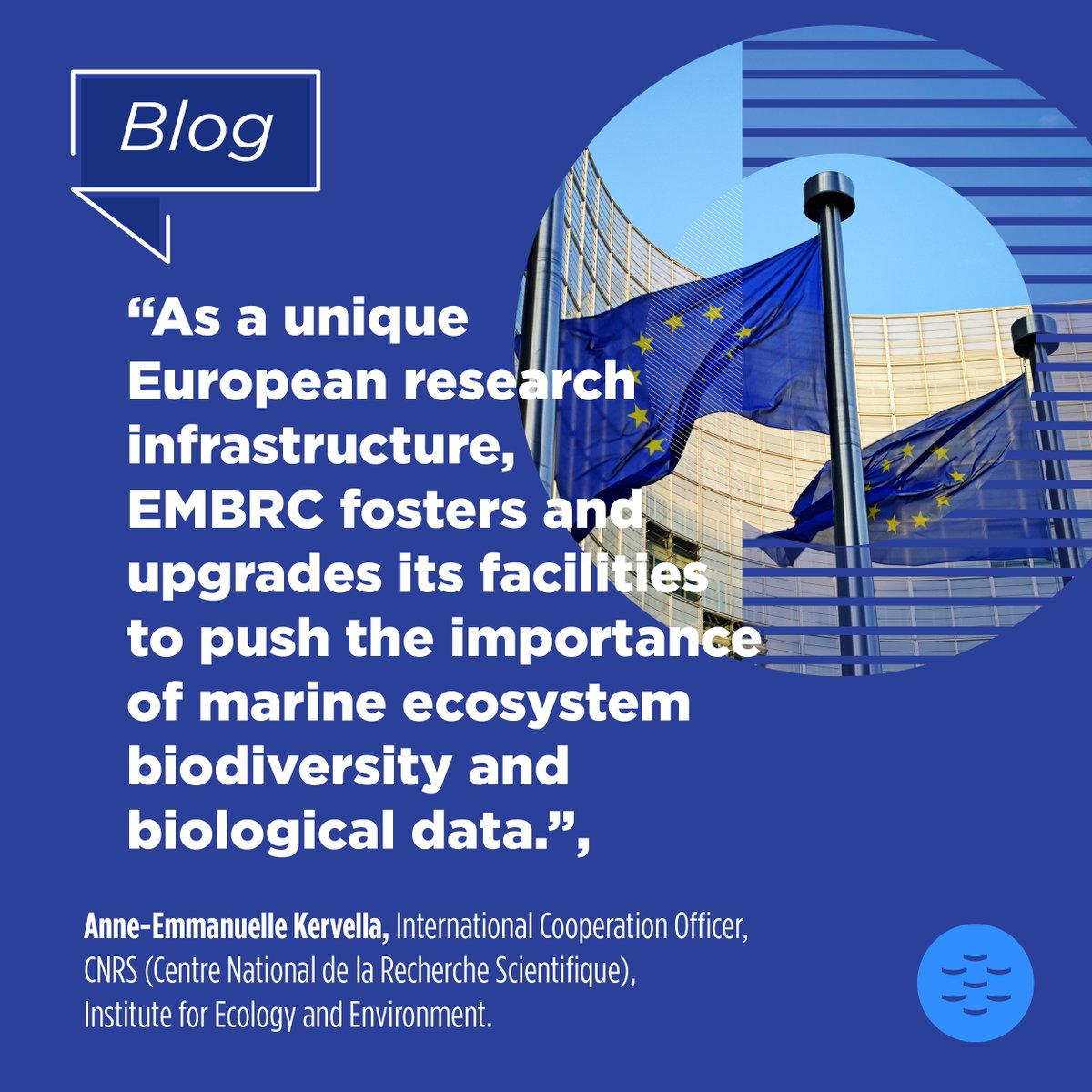 EMBRC_EU's tweet image. #EMBRCBlog | 👉Read our interview with Anne-Emmanuelle Kervella to find out how #ResearchInfrastructures: 
🔹Support public #ScientificResearch 
🔹 Inform evidence-based decision-making 
🔹&amp;amp; empower policymakers to sustain marine biological resources

tinyurl.com/bdejbx97