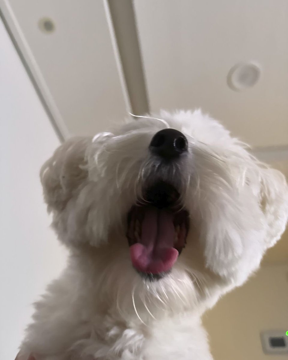 She said guuf morffnig.