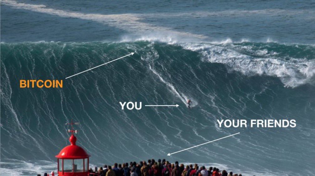 dOWN tHE dEFI rABBIThOLE tweet media