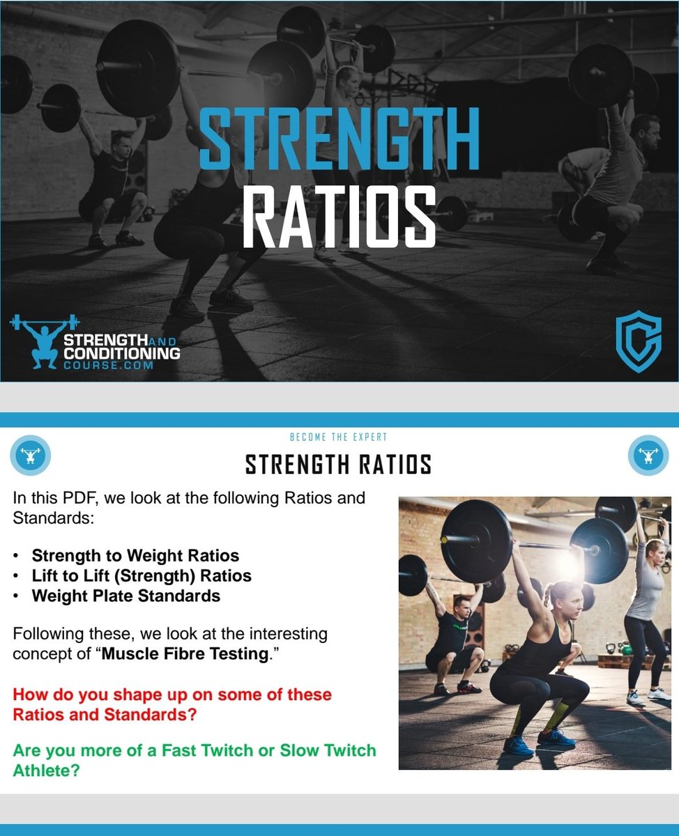 👇Click the link below for a FREE copy of this PDF.
-
dropbox.com/s/1abdsqx59ypk…