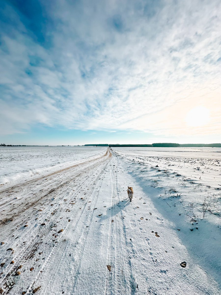 I will never get bored of this weather ❄️