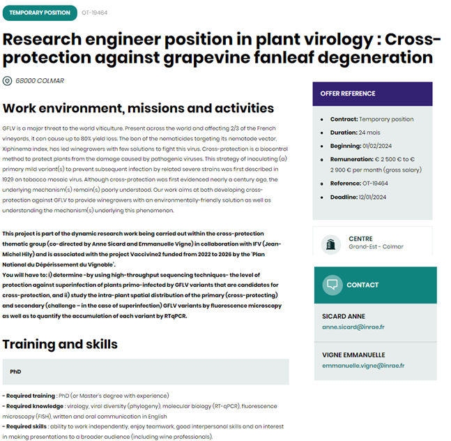 INRAE_Colmar's tweet photo. 🚨#JobAlert #INRAE
@umrSVQV is recruiting a Research Engineer in Plant Virology for 24 months to work on protection against grapevine fanleaf degeneration.
📧Submit your CV !
👉https://t.co/3Yve4bBoDn
#virology #crossprotection #biocontrol https://t.co/xReYCkOxr2