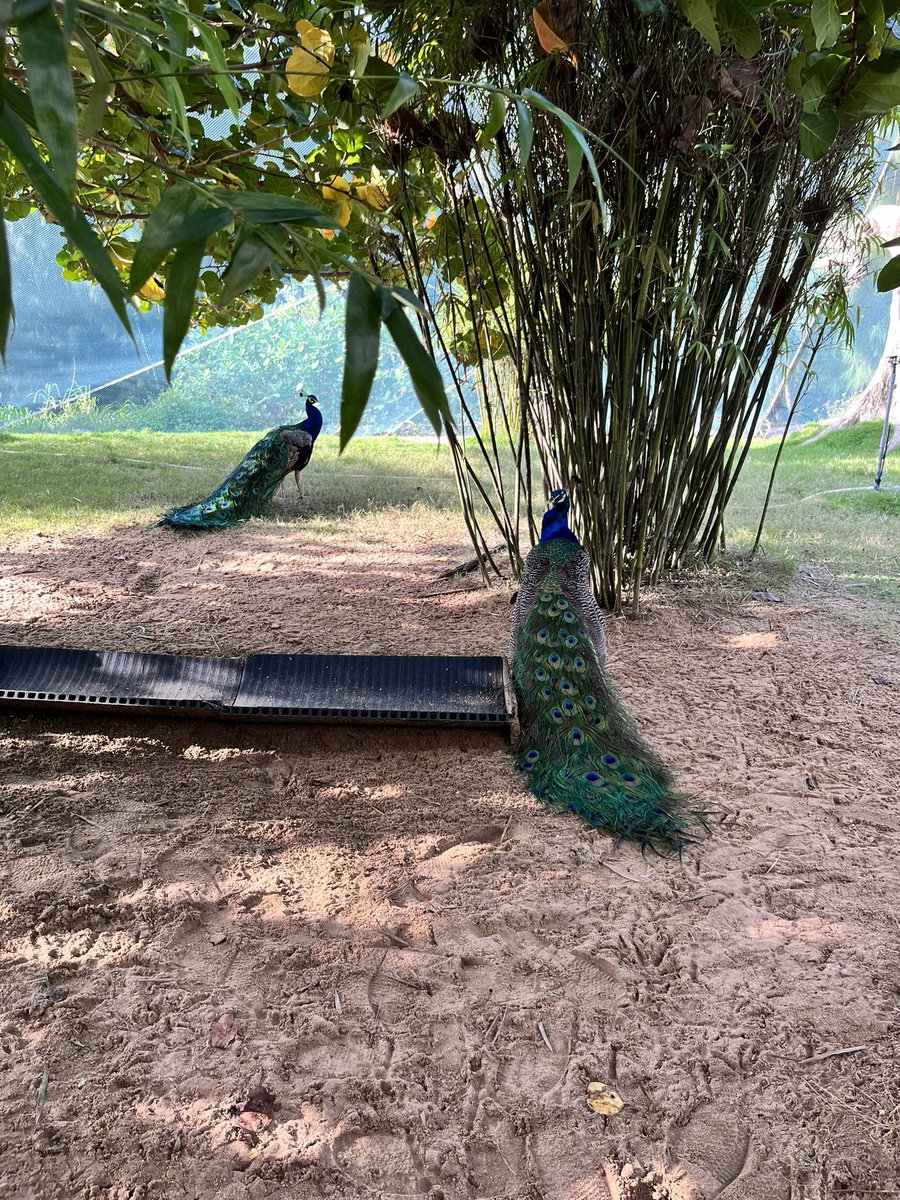 MangoFamily3's tweet image. Chuyện gì cũng có thể giải quyết
Đầu năm 2024 sống yên ấm như mấy bạn nì thôi
Khi nào cần thì toả nắng rực rỡ
😆😆😆😆😍