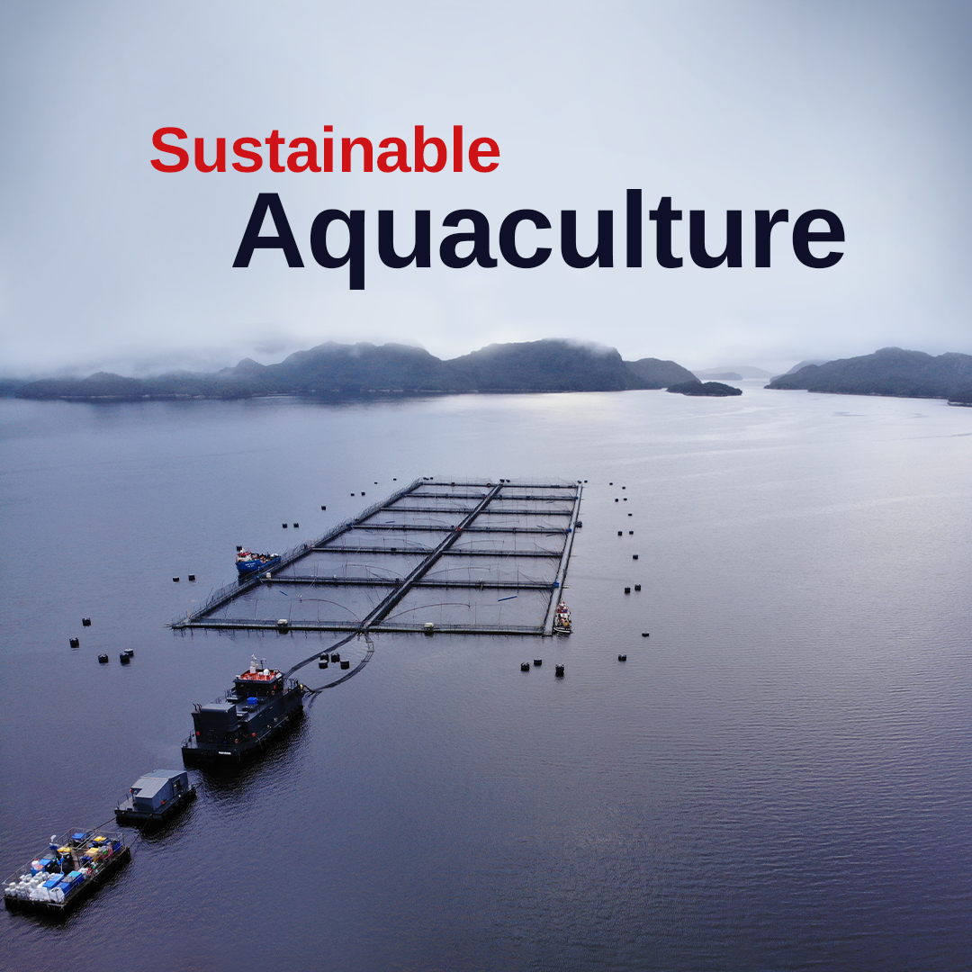 mariscope's tweet photo. #mariscope underwater imaging systems are used in aquaculture to monitor fish behavior, growth, health,
and their environment. https://t.co/jcyWUlATmI
