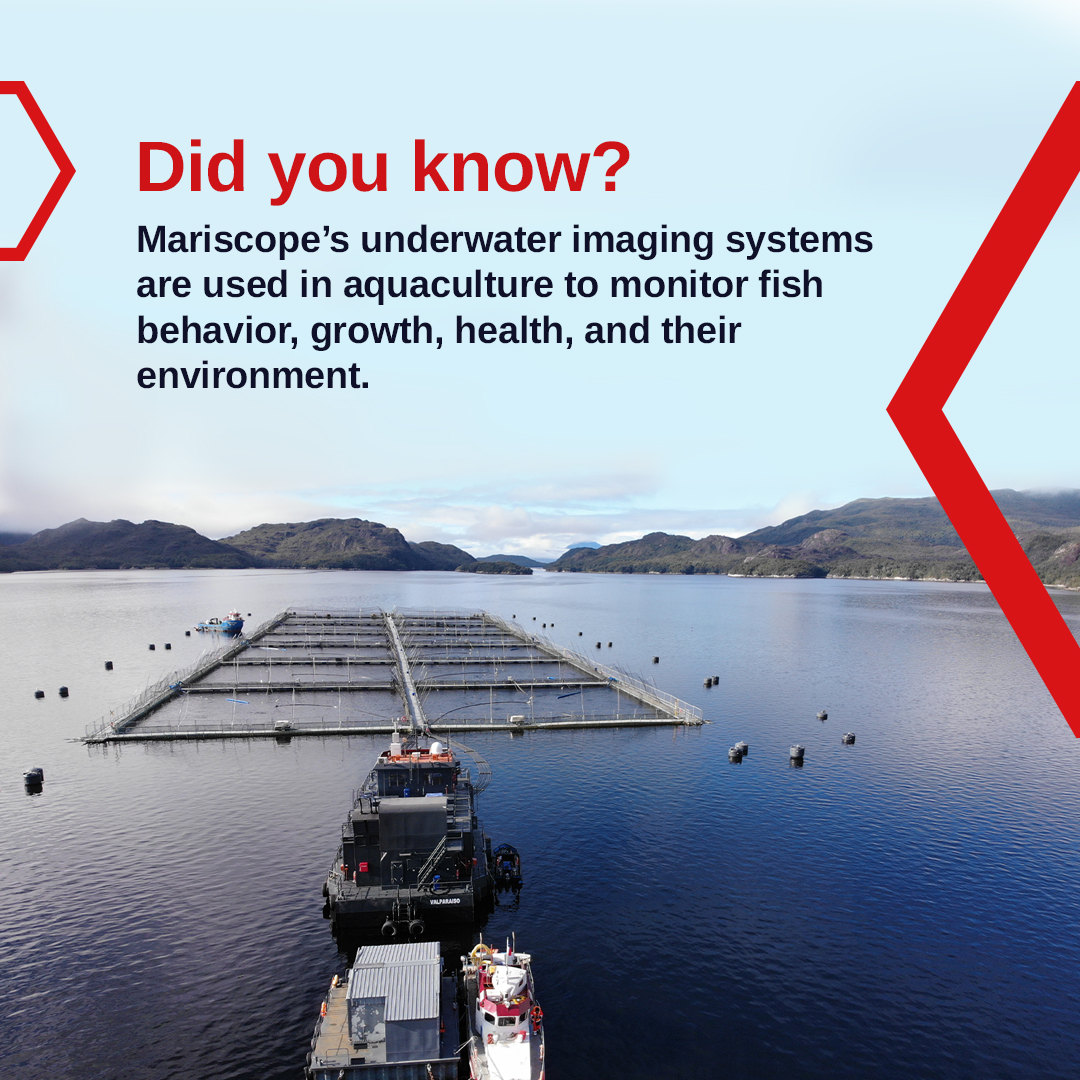 mariscope's tweet photo. #mariscope underwater imaging systems are used in aquaculture to monitor fish behavior, growth, health,
and their environment. https://t.co/jcyWUlATmI