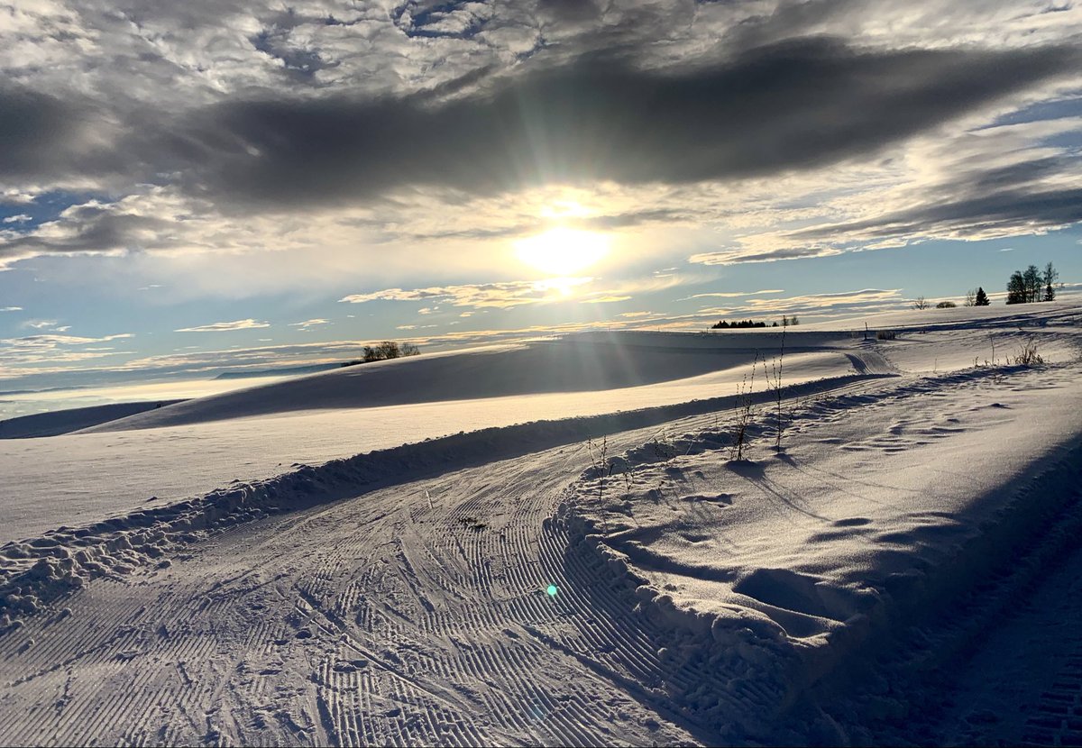 Det går en løype gjennom livet💙