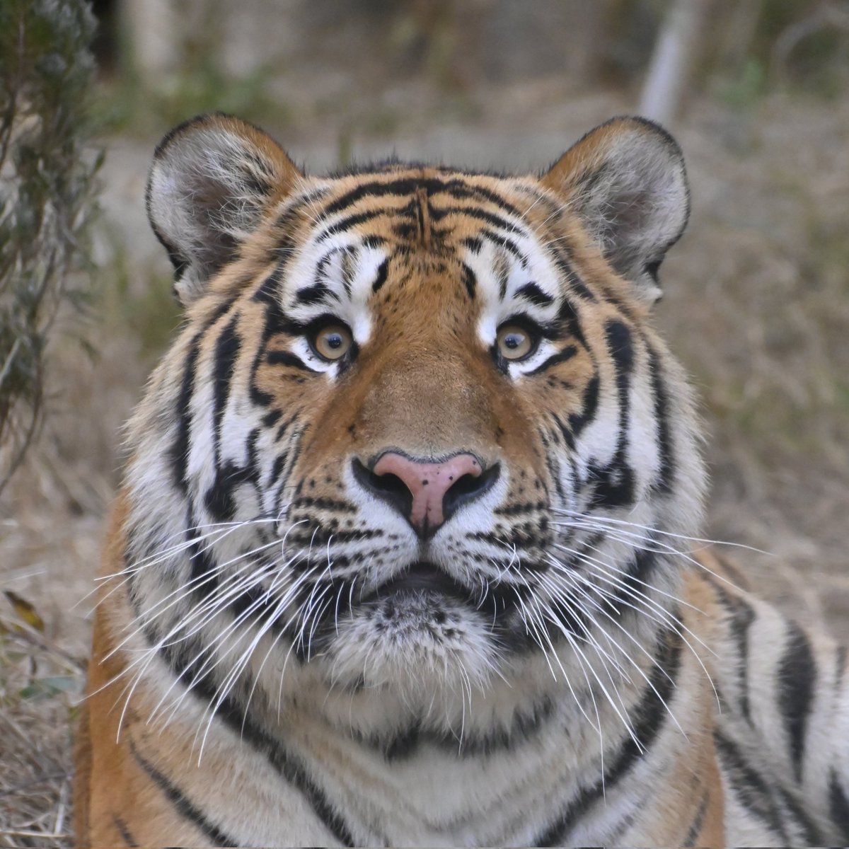 yokko7111's tweet image. #新しいプロフィール画像