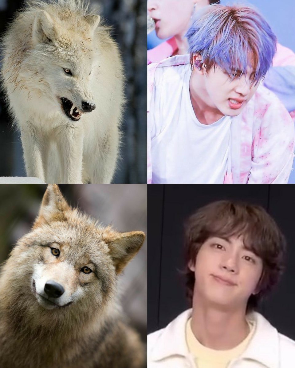 Mybelovedjinnie's tweet photo. spot the difference https://t.co/t2lCLVyvQV