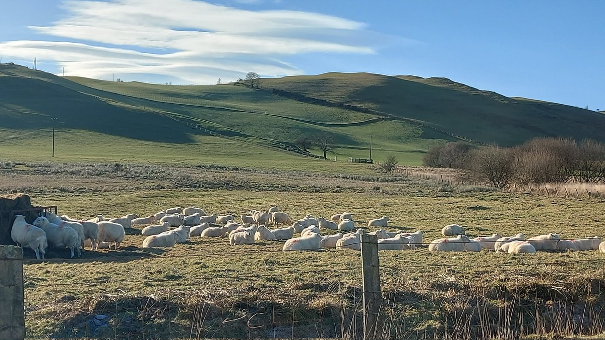wendiihouse's tweet photo. On way home #defaid #sheep starship clouds beautiful and cold 1 degree #ceredigion @S4Ctywydd @metoffice @Ruth_ITV @bbcweather @itvweather @ThePhotoHour #afternoon https://t.co/tAcxtqfRv6