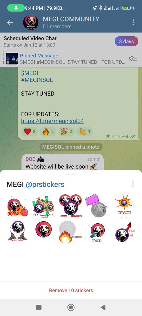 Megi In Sol tweet media