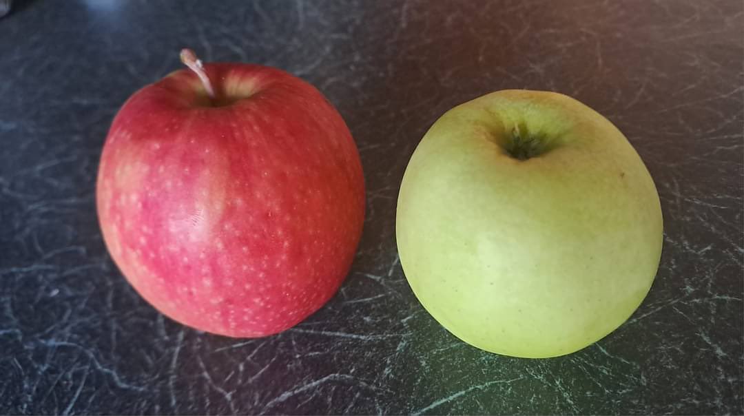 Doctors and Dietitians, which Apple is better??