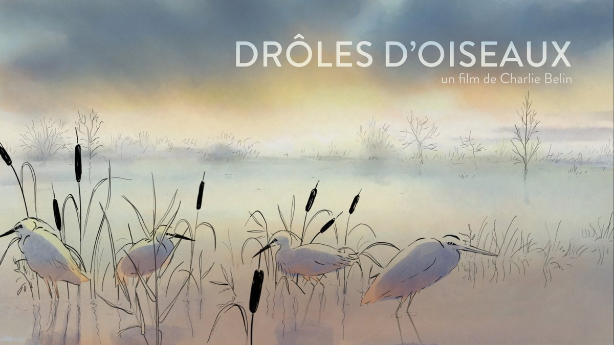 afdublin's tweet photo. The #FrenchLibrary's first Matinée #screening of the year will showcase the 2021 #family animation #film "Drôles d'Oiseaux" on Saturday 13 January at 12pm, as part of our #free Open Day! 
More info: https://t.co/og2183Nvu6 https://t.co/HrUh5H60ne