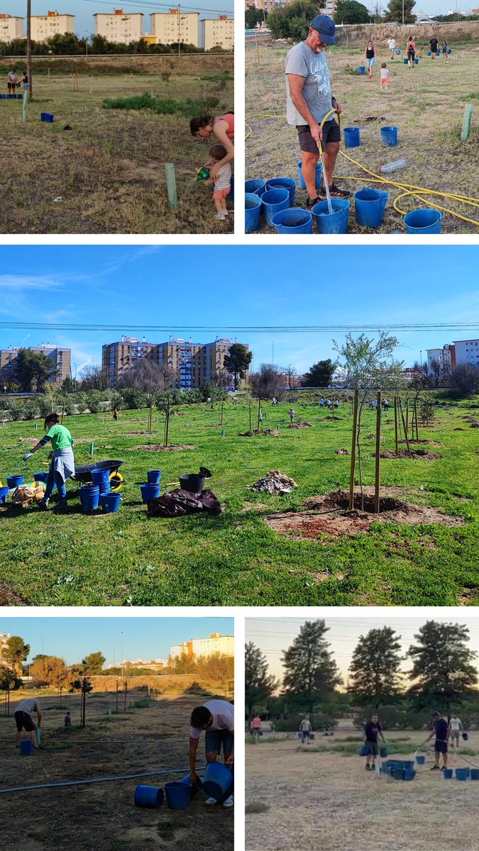sevillamasverde's tweet photo. 📢 Vecinos y voluntarios nos han avisado del ROBO de árboles grandes que plantamos el año pasado en las parcelas que estamos reforestando en #ParqueDeLaVegaDeTriana.
2 árboles de 3 metros que el  #Voluntariado ha cuidado con esmero.
⚠️El parque necesita iluminación y vigilancia‼️ https://t.co/Z880Ep50SA