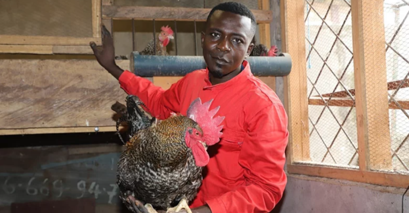 Banquemondiale's tweet photo. 🌟🐔🌱 Découvrez l'histoire inspirante de Nzingoula Delaunay, un jeune homme du #Congo dont la vie a été transformée par le Projet de développement des compétences pour l’employabilité (#PDCE) soutenu par la Banque mondiale. ⤵