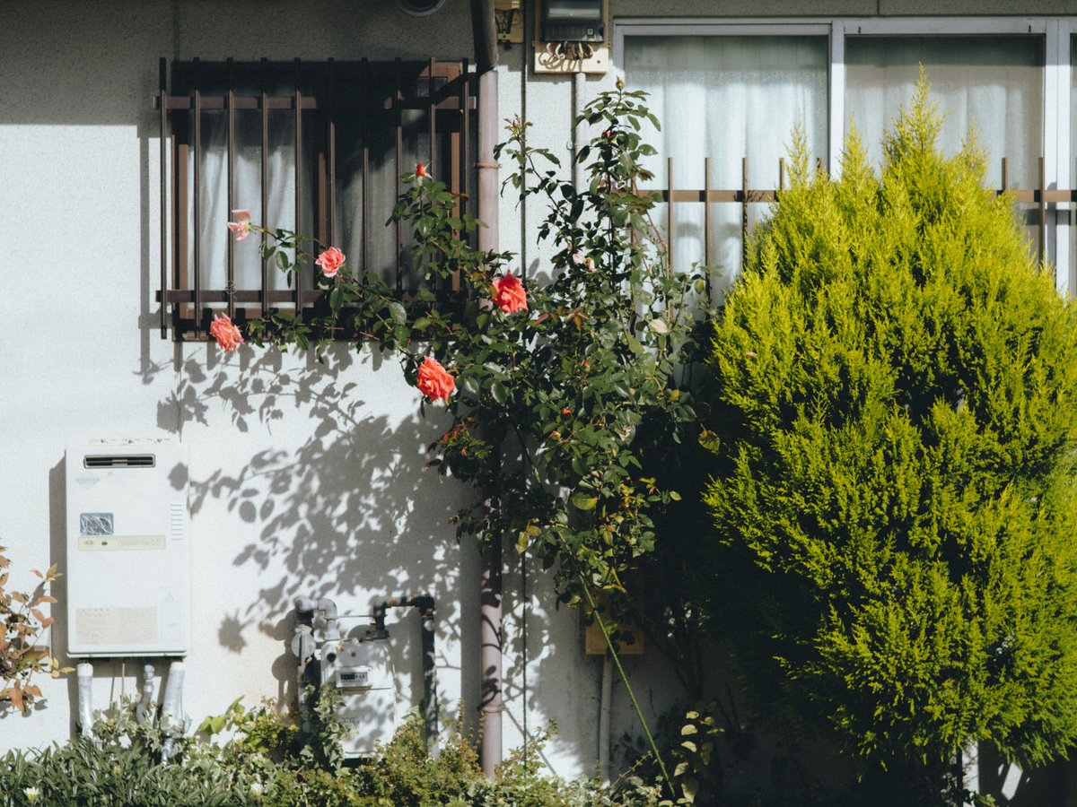 keita_miwa_'s tweet image. Leica T
Elmar-M 50mm f2.8 2nd

#leicat #leica