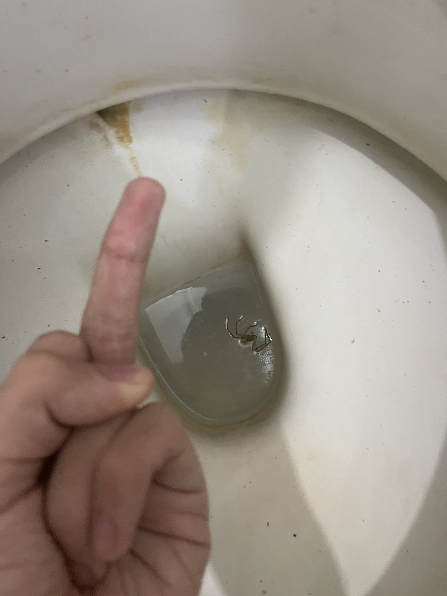 Foxfleep's tweet photo. What an idiot https://t.co/WbJEbtiTbq