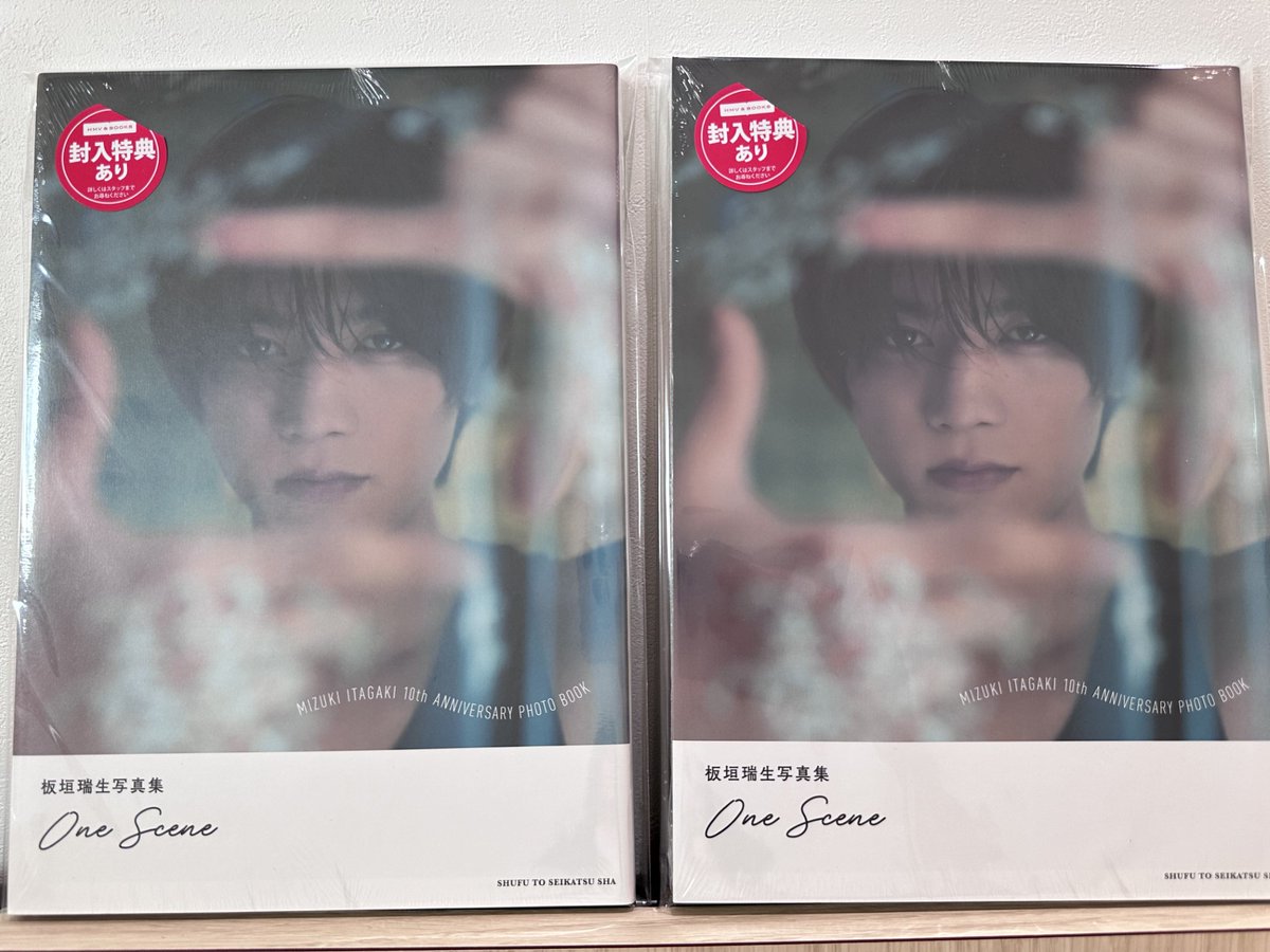 板垣瑞生】 板垣瑞生さんのデビュー10周年記念写真集 『One Scene 