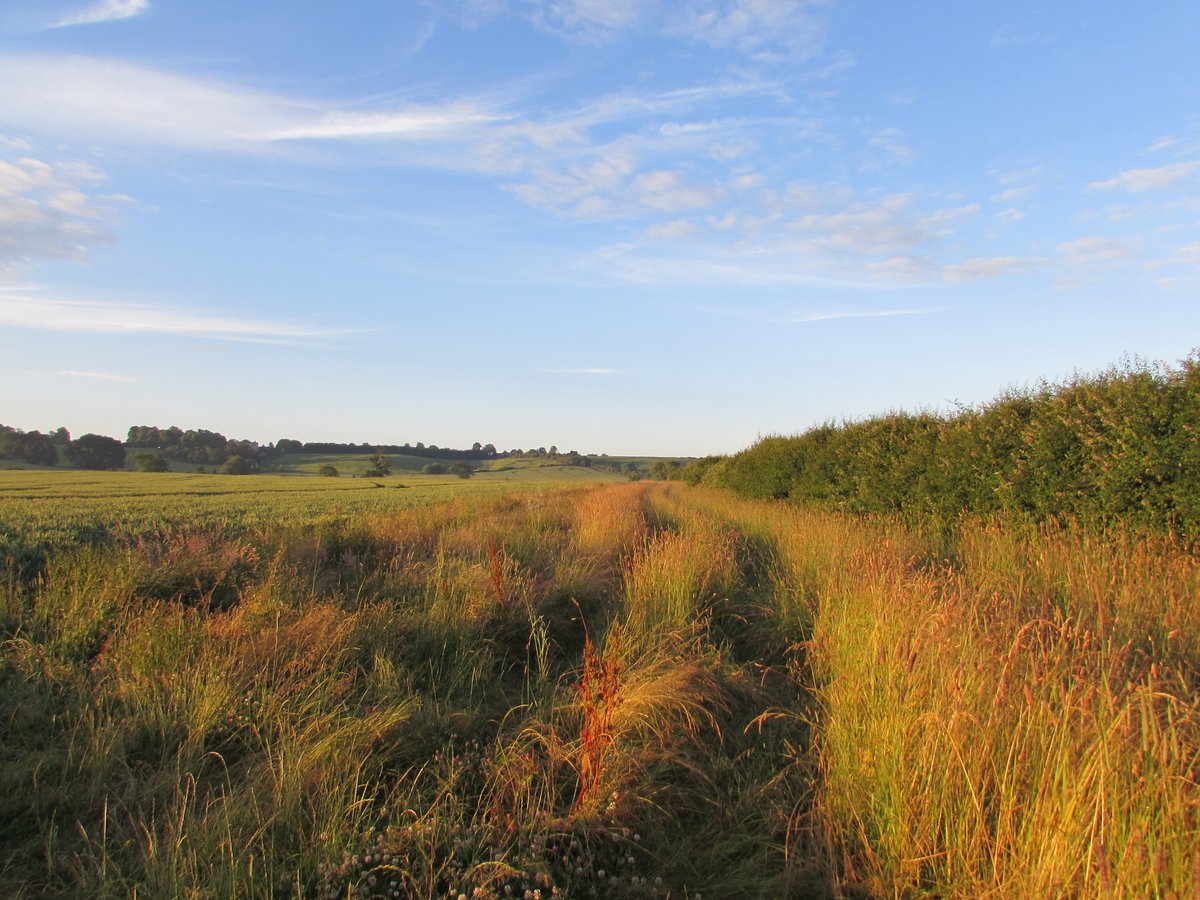 Our review comparing 'agroecological' vs 'conventional' faming is now published via <a href="/DefraGovUK/">Defra UK</a>. Lots of info on what agroecological systems can achieve, how they can develop through farmer-led innovation,  and how we can better model and monitor them randd.defra.gov.uk/ProjectDetails…
