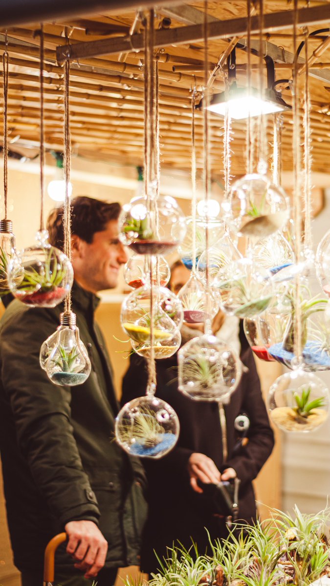 shopled2010's tweet photo. Our Grow Light is the perfect solution for those who want to cultivate a green thumb all year round. 🍀

#indoorplants #growlight #innovation #gardening #sustainability https://t.co/6efEMxyFUW