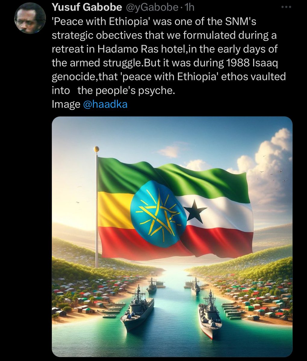VoiceofHorn's tweet photo. For 33 years they used the Genocide card to control the masses. Promoting hatred and division between #Somalis. While they robbed them, killed them and discriminated them to achieve a narrow tribal agenda. Today that agenda has been exposed and the youth have spoken. #Somalia https://t.co/vAhg1S74ly