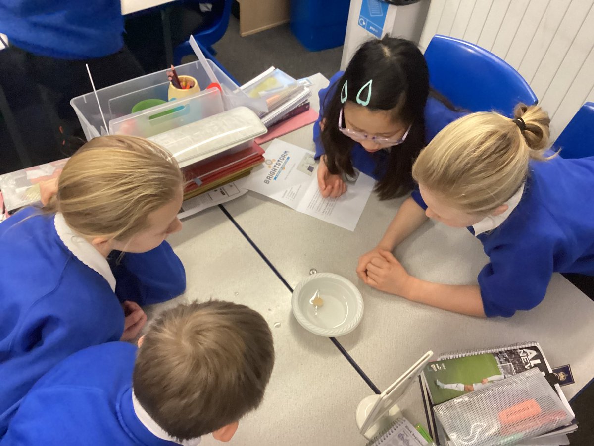 MNA_Year6's tweet photo. Our new theme is ‘Into the Unknown’ and we have started by making our own compasses by magnetising needles and floating cork circles on water to find magnetic North @morley_newlands https://t.co/RQacMZibnr