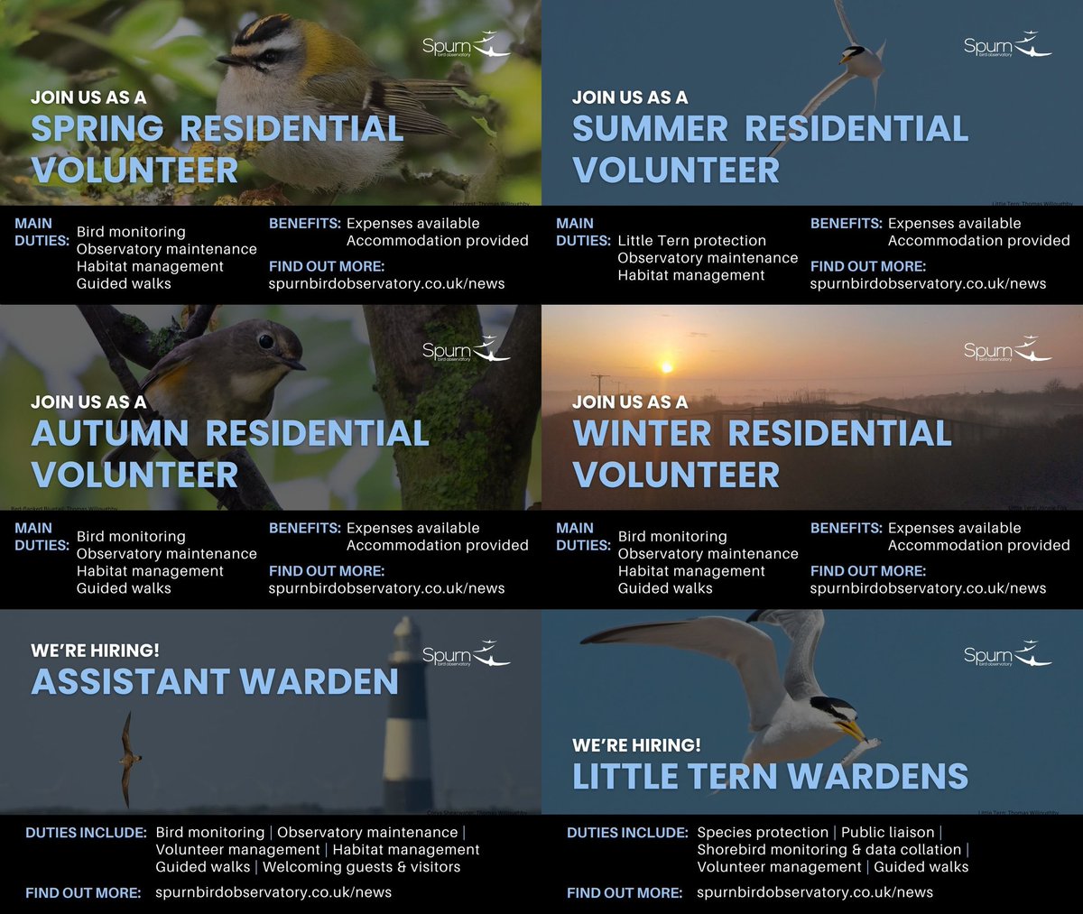 Sarah (@harris_sjh) on Twitter photo All <a href="/spurnbirdobs/">Spurn Bird Observatory</a> roles for 2024 are now advertised: both paid & *subsidised* residential volunteering opportunities. These cover seasons through the year, providing some variety in the skills required.
Check them out on our News page & apply today!
-> spurnbirdobservatory.co.uk All <a href="/spurnbirdobs/">Spurn Bird Observatory</a> roles for 2024 are now advertised: both paid & *subsidised* residential volunteering opportunities. These cover seasons through the year, providing some variety in the skills required.
Check them out on our News page & apply today!
-> spurnbirdobservatory.co.uk