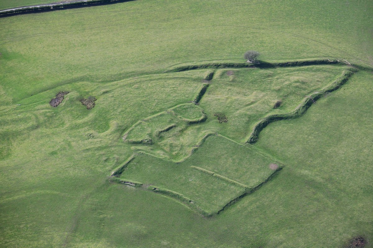 Beili Bedw deserted #medieval village is situated in a remote area north of Rhayader. It includes 15 possible building platforms. Excavations revealed that three of these buildings were turf-walled 📸Toby Driver, @RC_Survey, 14 March 2022 coflein.gov.uk/en/archive/AP2… #NewlyCatalogued