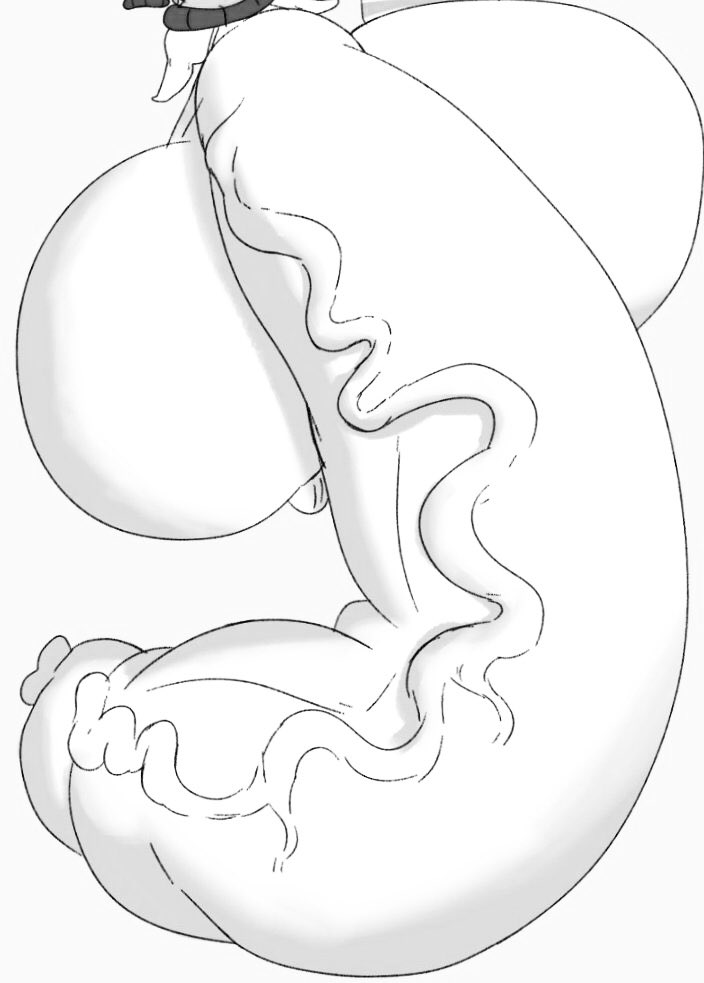 Of course the inkling has been steadily growing bigger over time, now he is probably big enough to be at least 30 feet long, while SOFT! His balls each the size of a bed, able to he heard sloshing from a mile away from how full they get too….