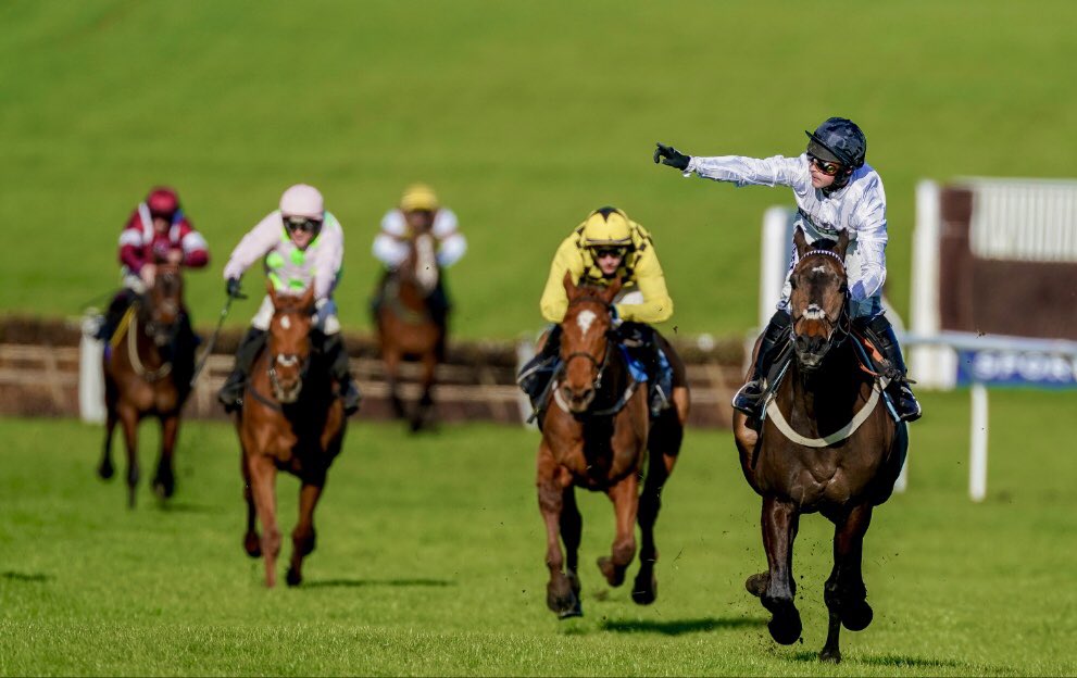 🚨 9 WEEKS UNTIL CHELTENHAM TIME! ⏰