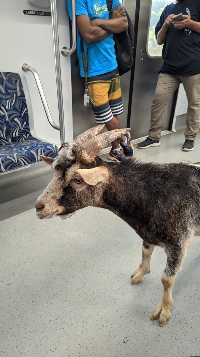 gowoncake's tweet photo. mais um dia normal na CPTM https://t.co/L6PheJGUjO