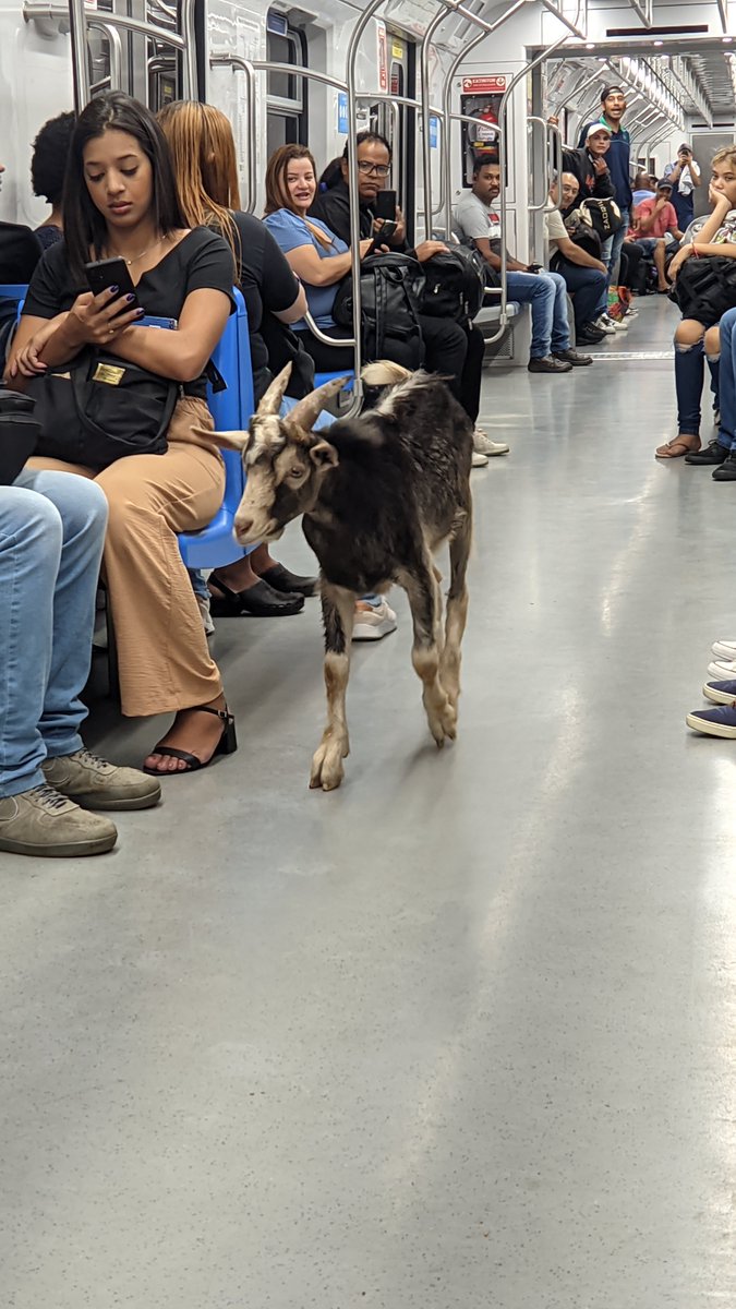 gowoncake's tweet photo. mais um dia normal na CPTM https://t.co/L6PheJGUjO